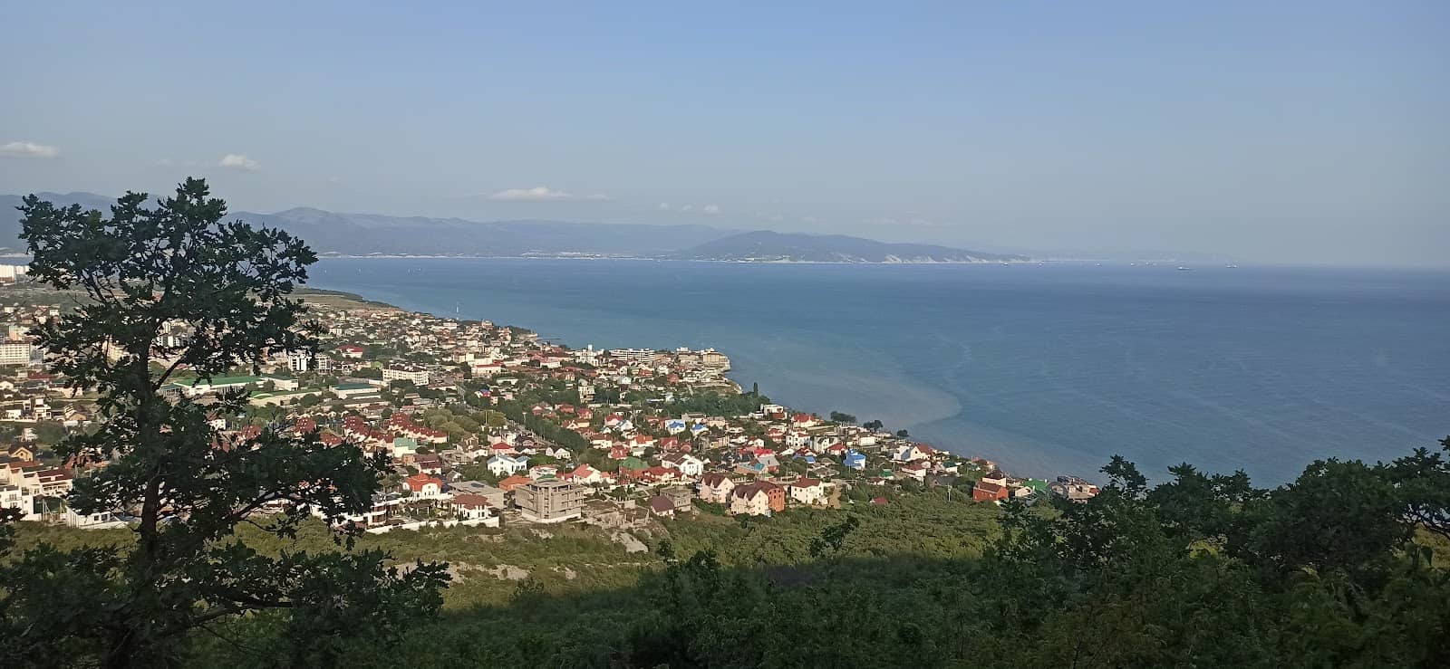 Vertical photo