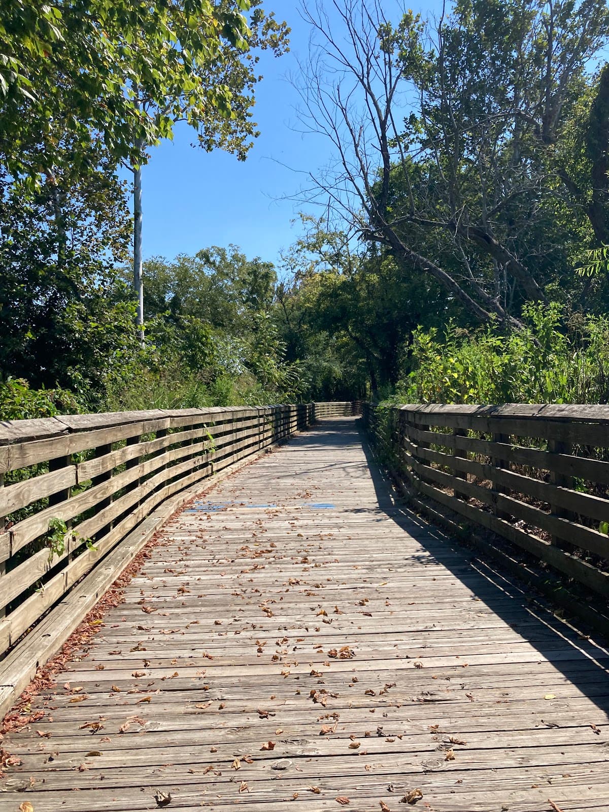 Perryville River Walk - Image 1