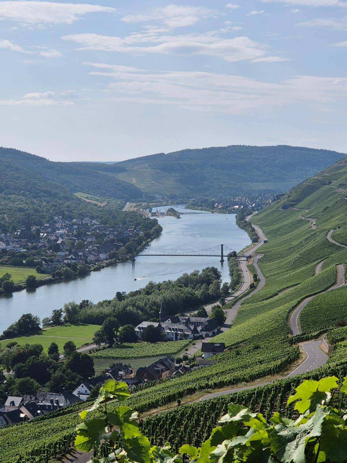 Moselle River Views
