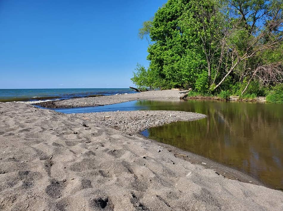 Peaceful Lakeside Trails