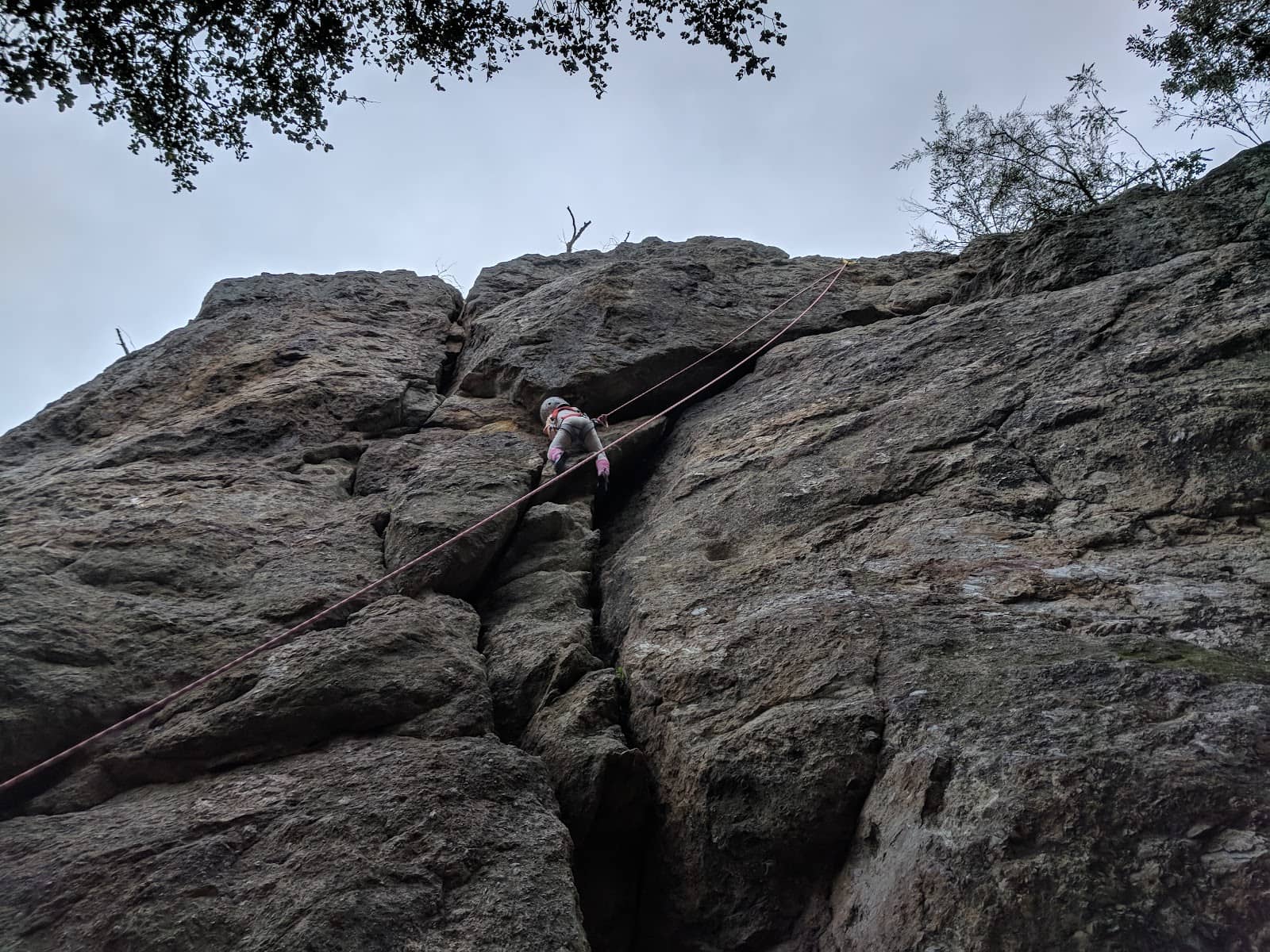 Vertical photo