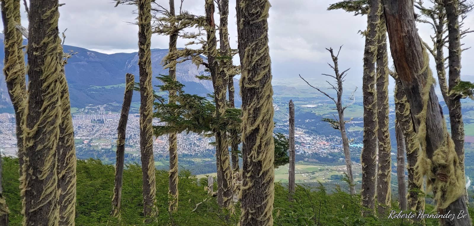 Vertical photo