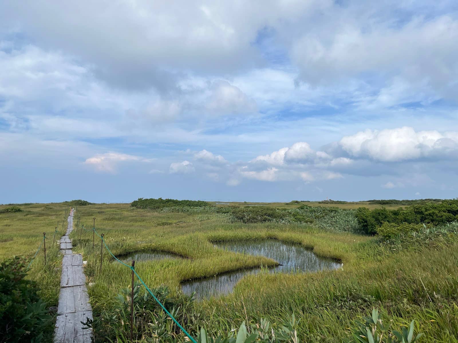 Guided Marsh Tours