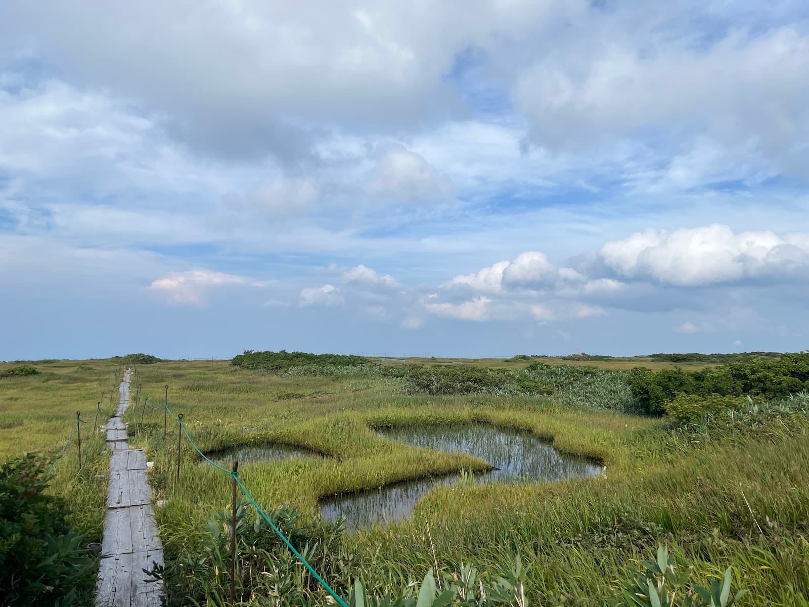 Midagahara Marsh (Gassan) - Image 1