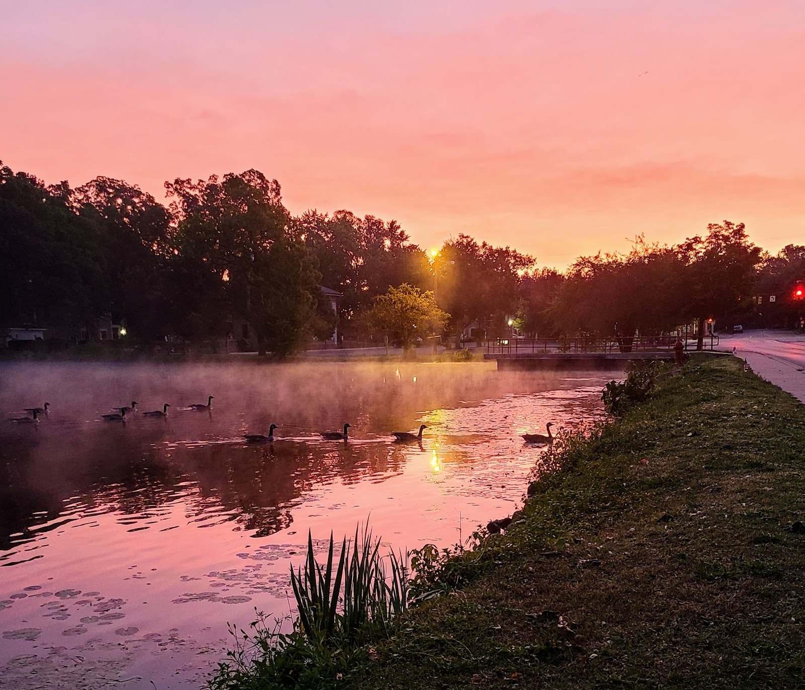 Clarkston Mill Pond - Image 1