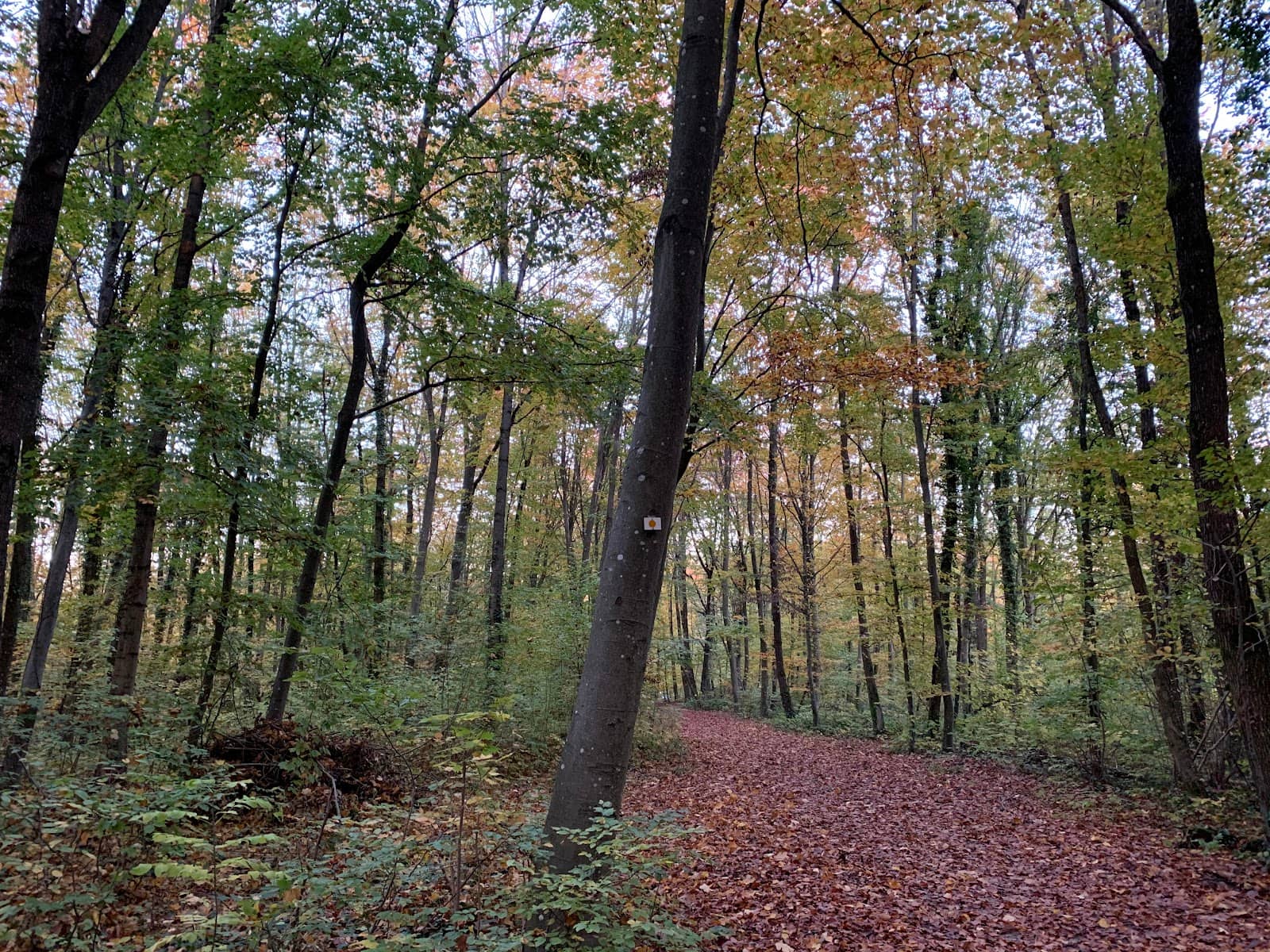 Parc du Petit Prince