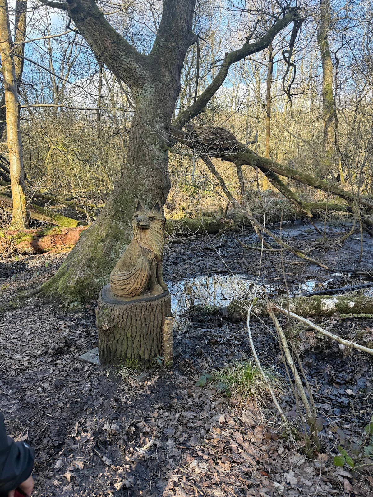 Wildlife Spotting