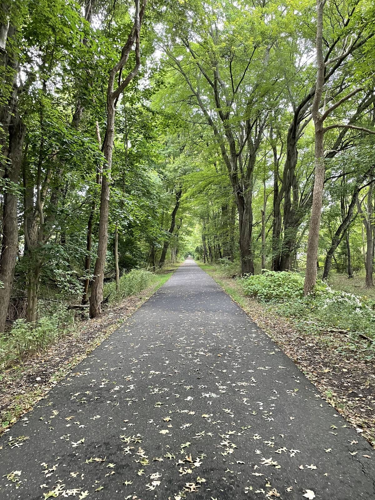 Ongoing Trail Expansion