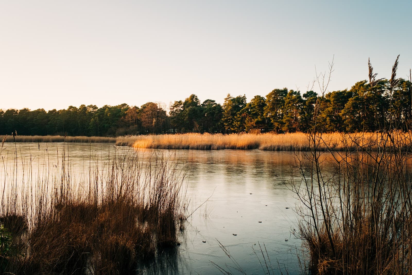 Englemere Pond - Image 1