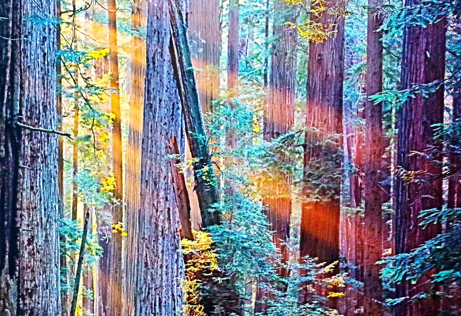 Vertical photo