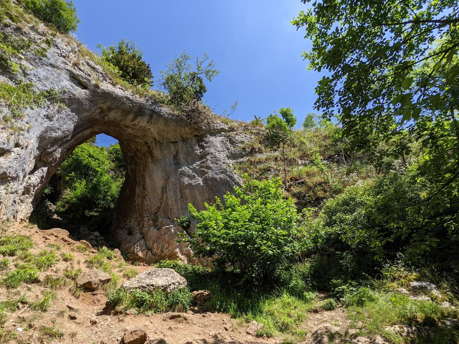 Reynard's Cave - Image 1