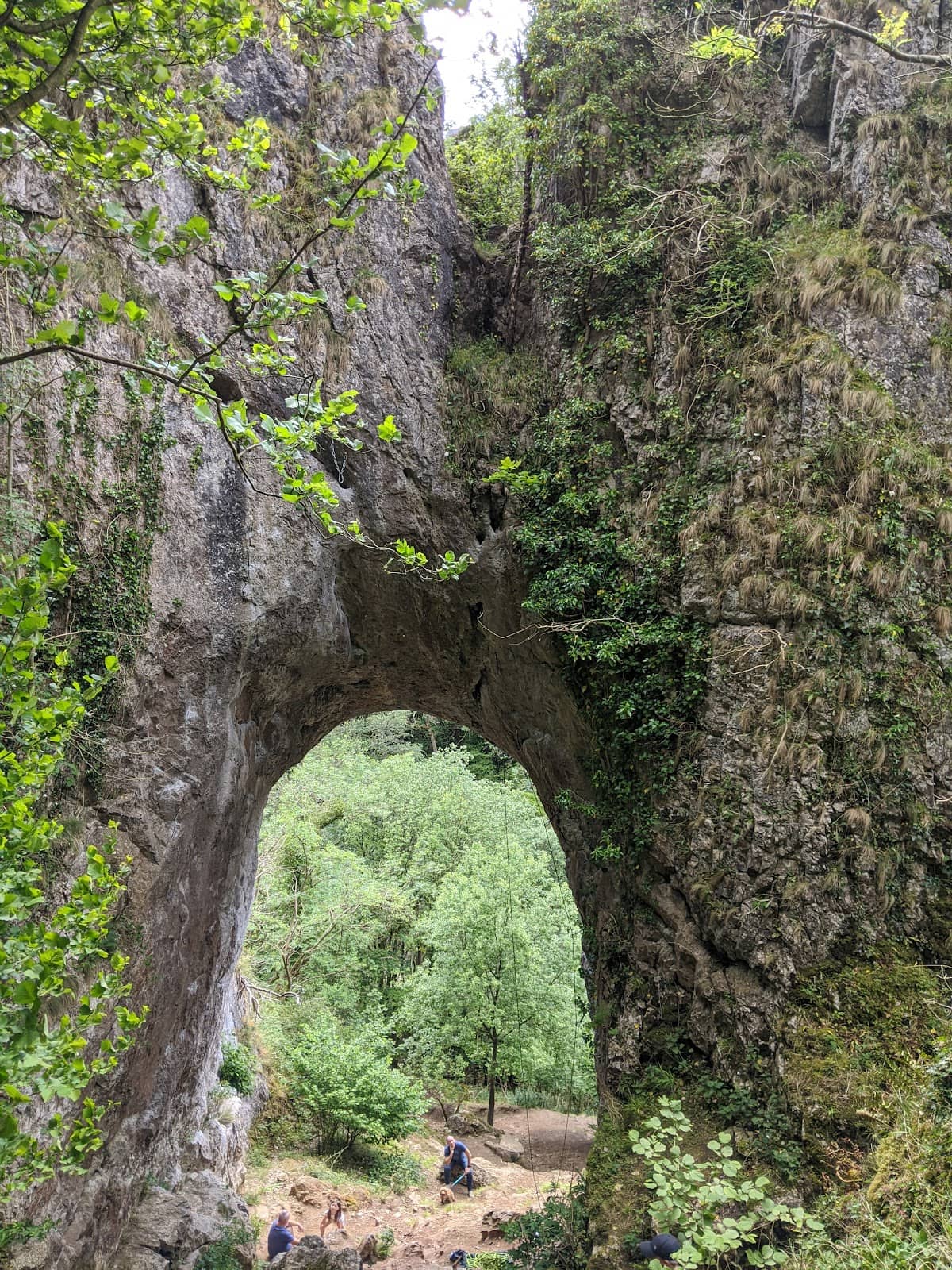 Vertical photo