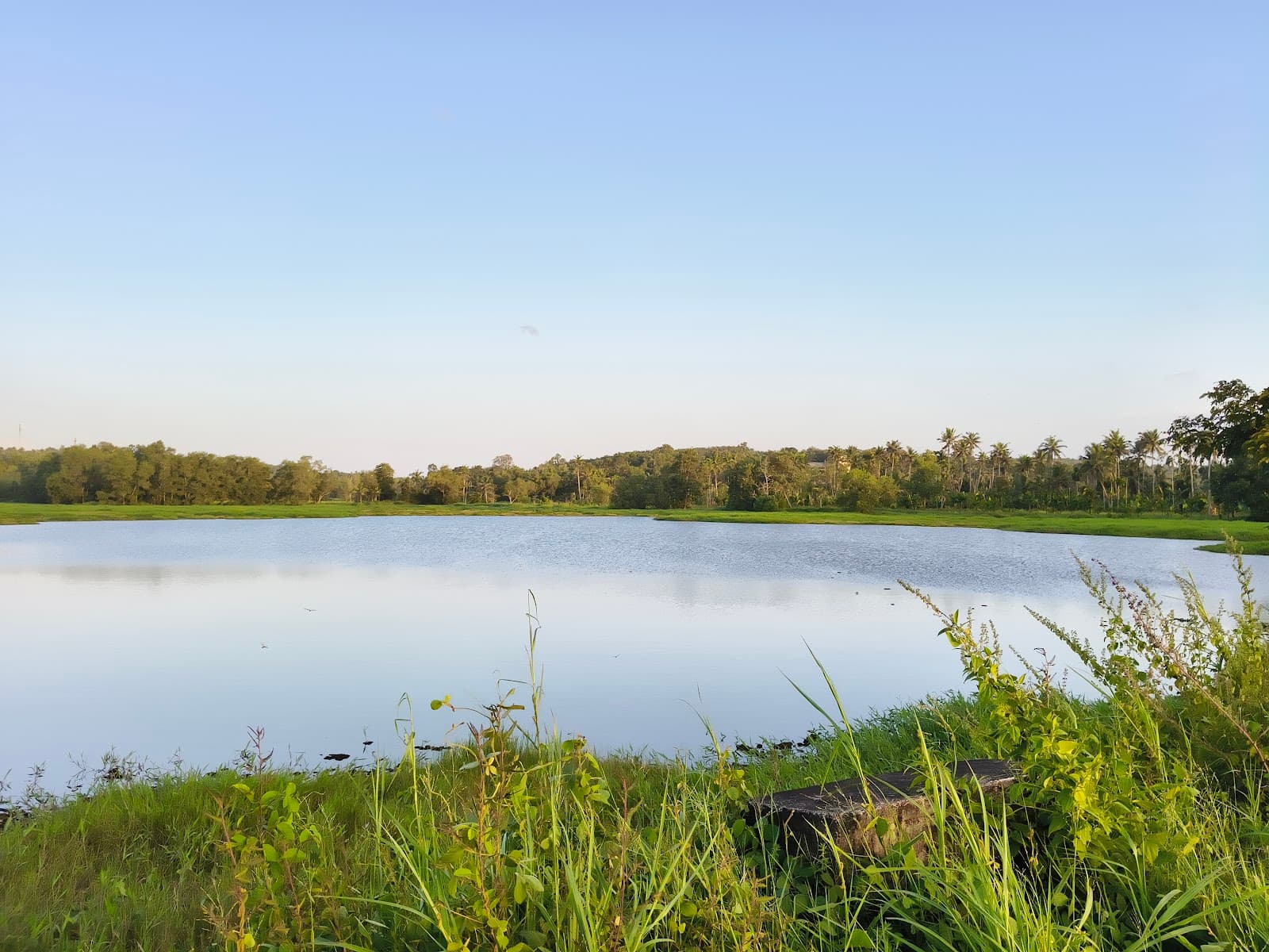 Polachira Wetlands - Image 1