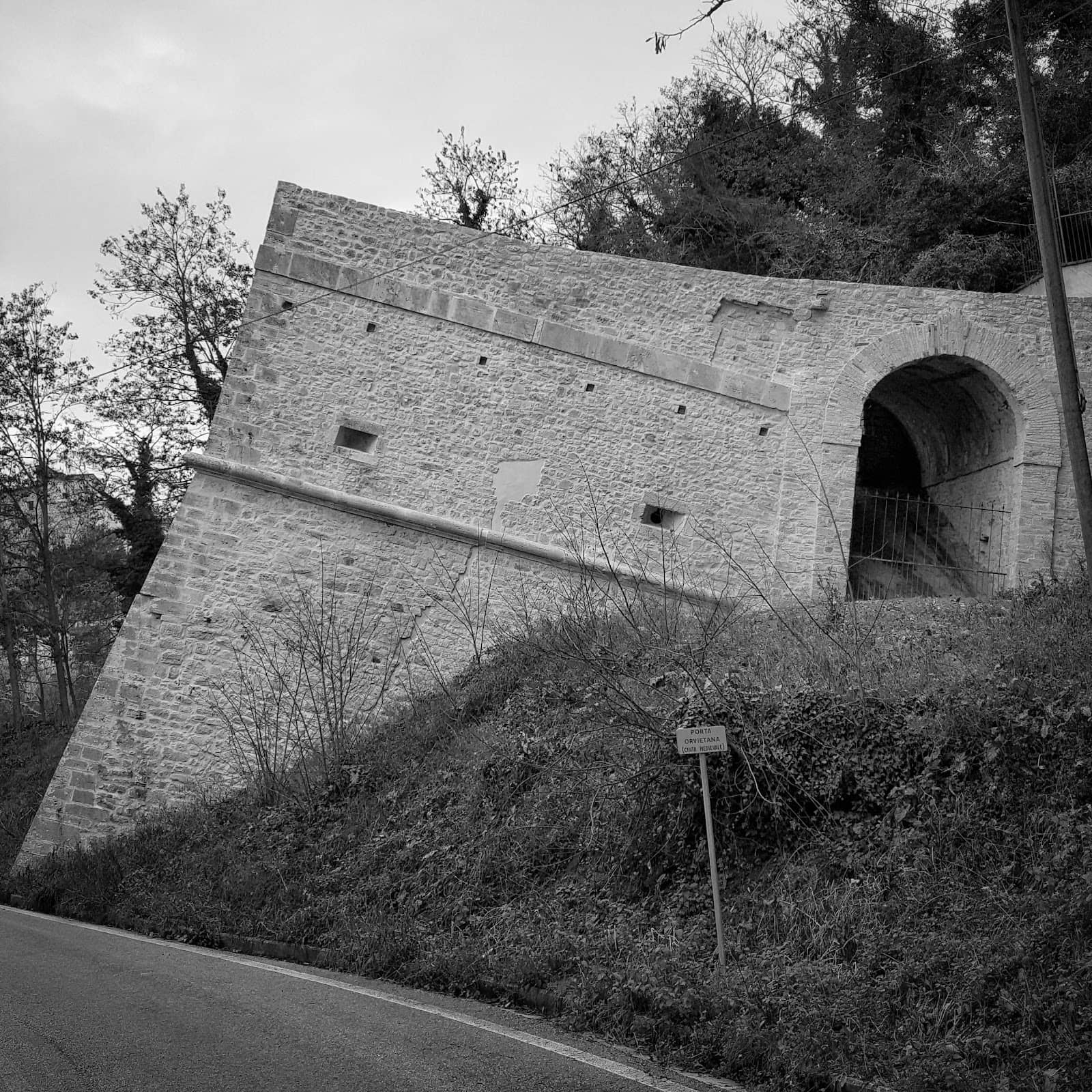 Vertical photo