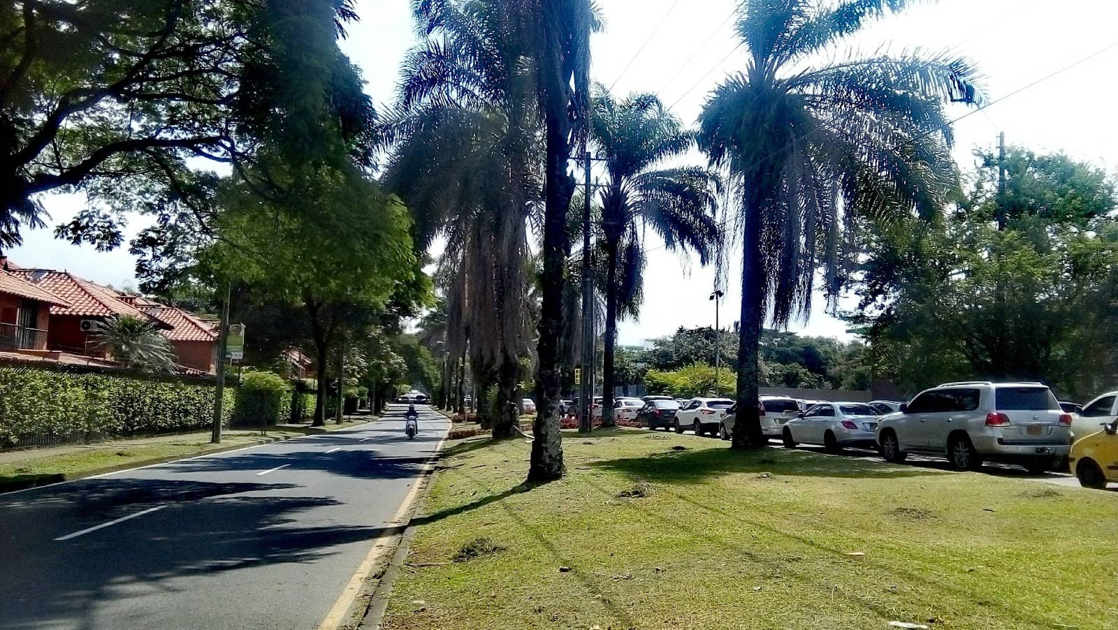 Local Ambiance