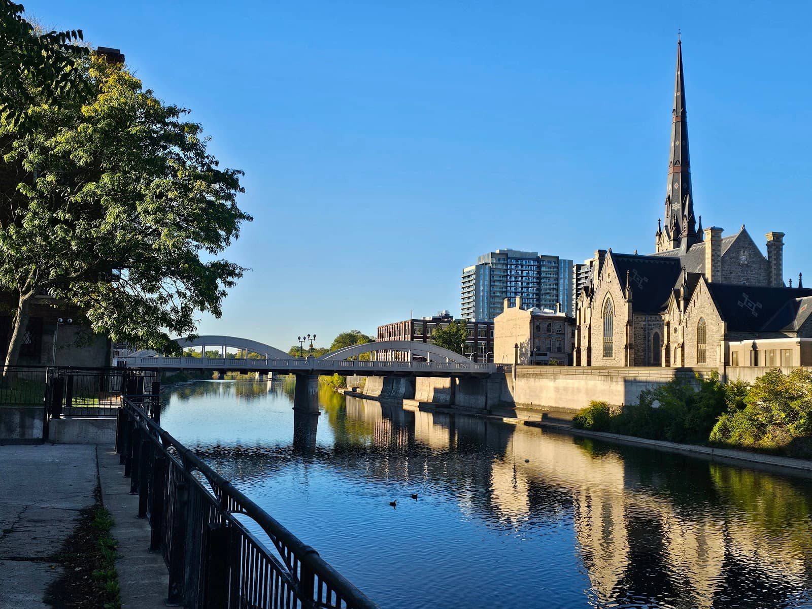 Tranquil Pond & Wildlife