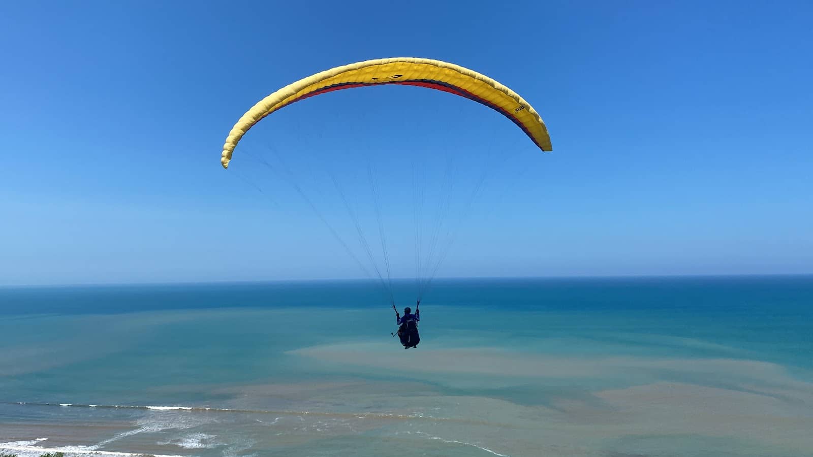 Professional Pilot Guidance