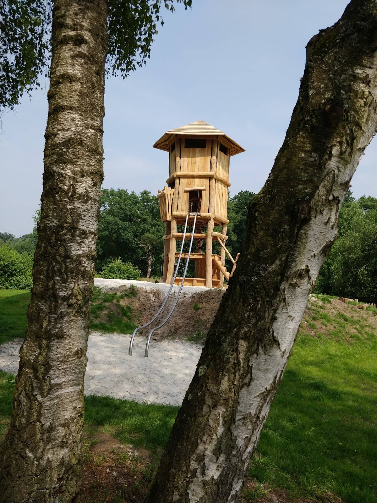 Vertical photo