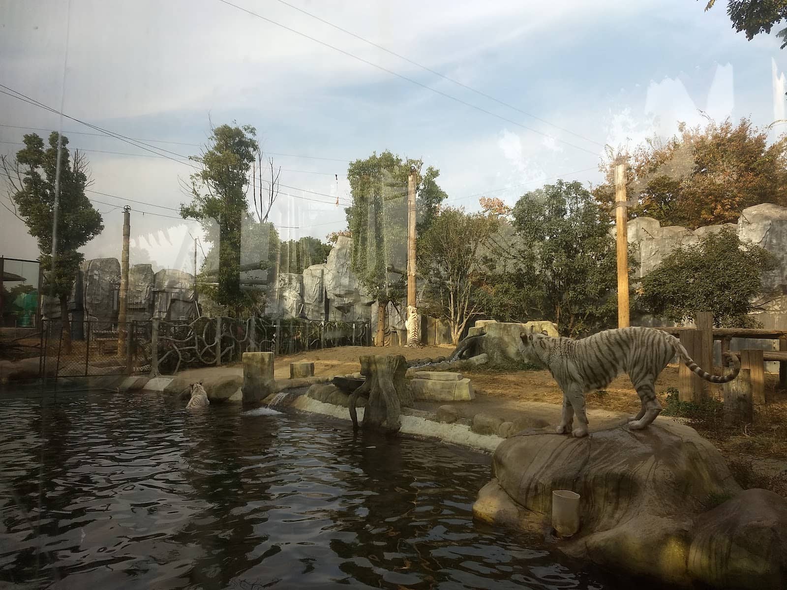 Scenic Park Grounds