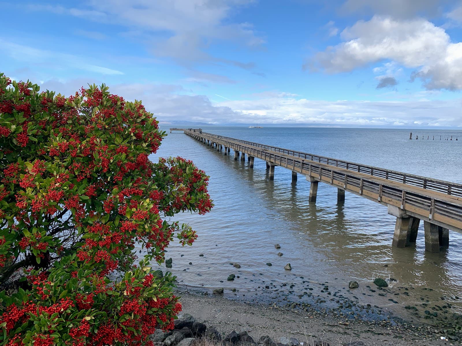 Point Pinole Pier - Image 1