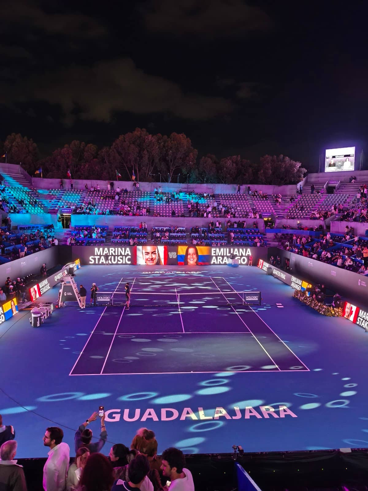 Hitting Partner Program