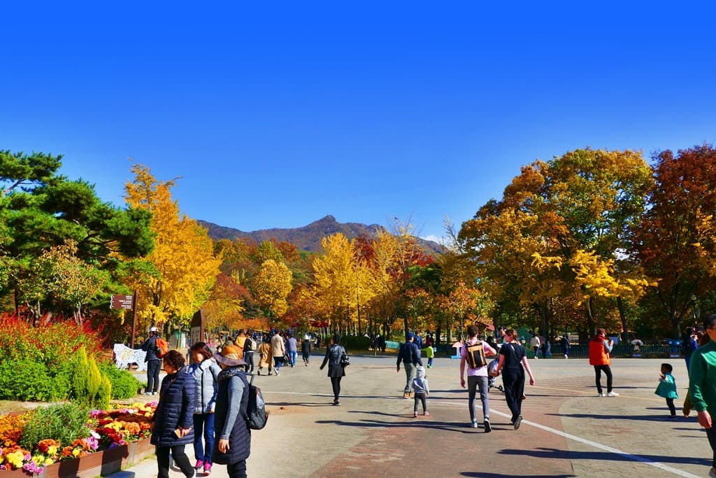 Seoul Grand Park - Image 1