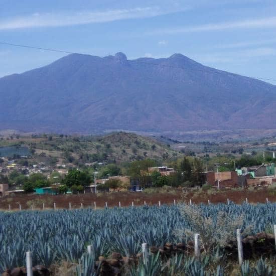 Distillery Tours & Tastings