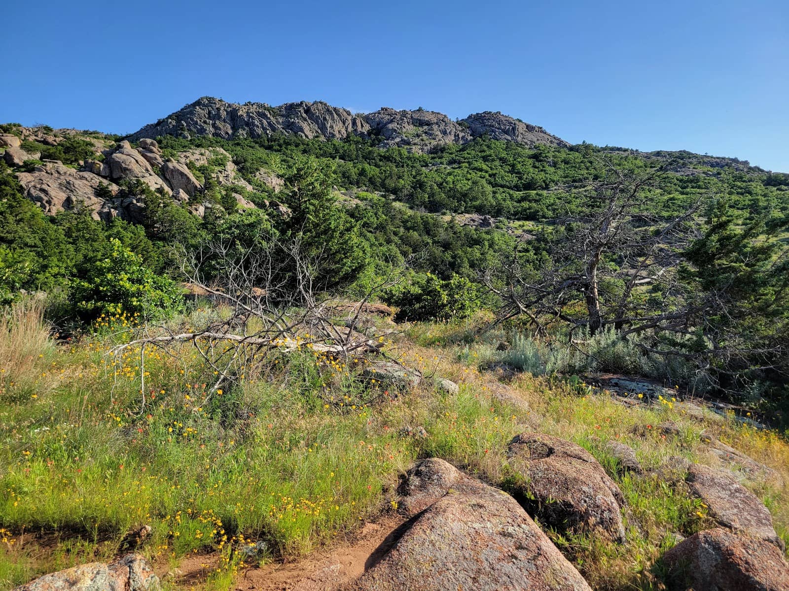 Rocky Terrain & Stone Steps