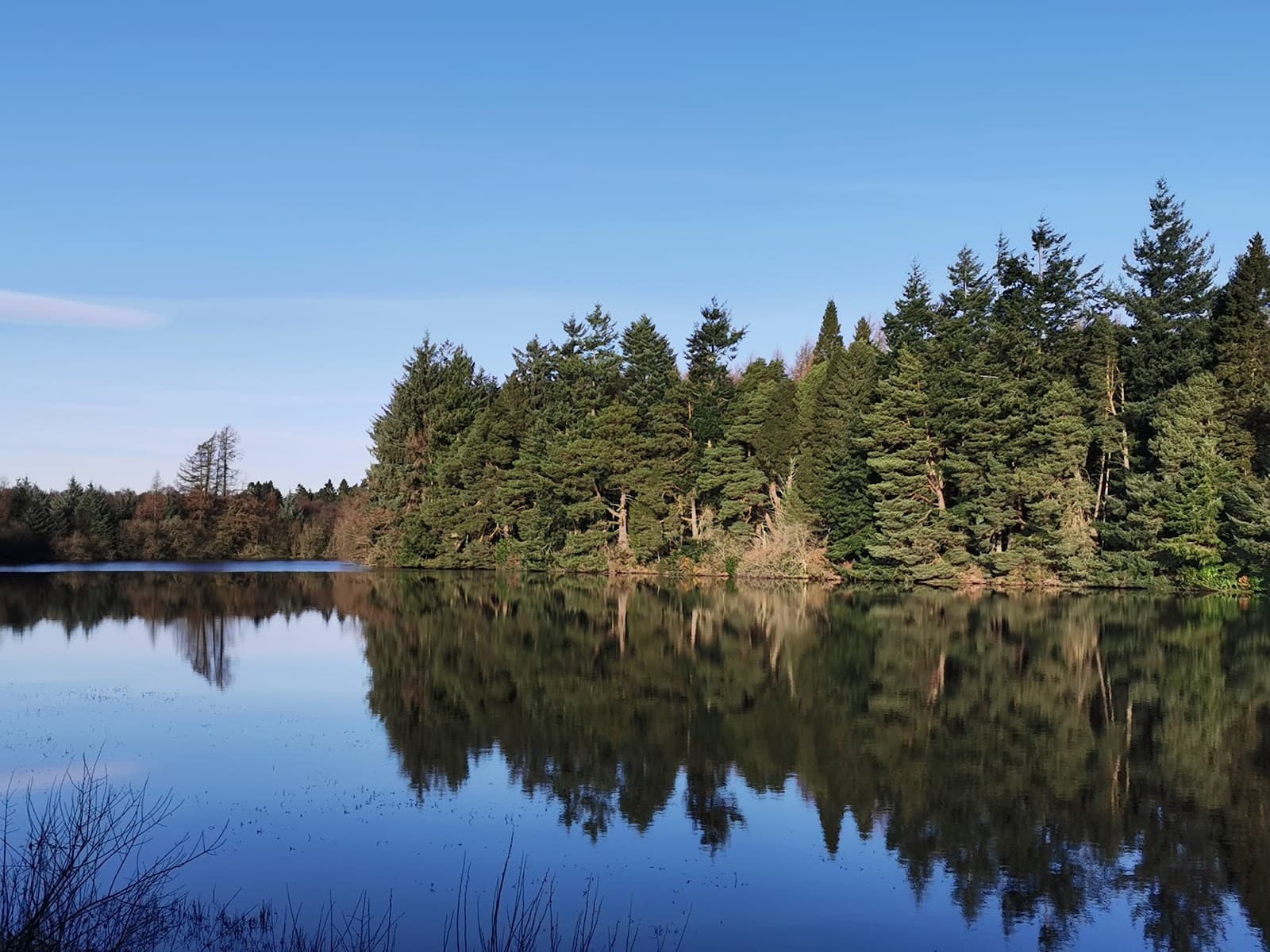 Crombie Country Park - Image 1