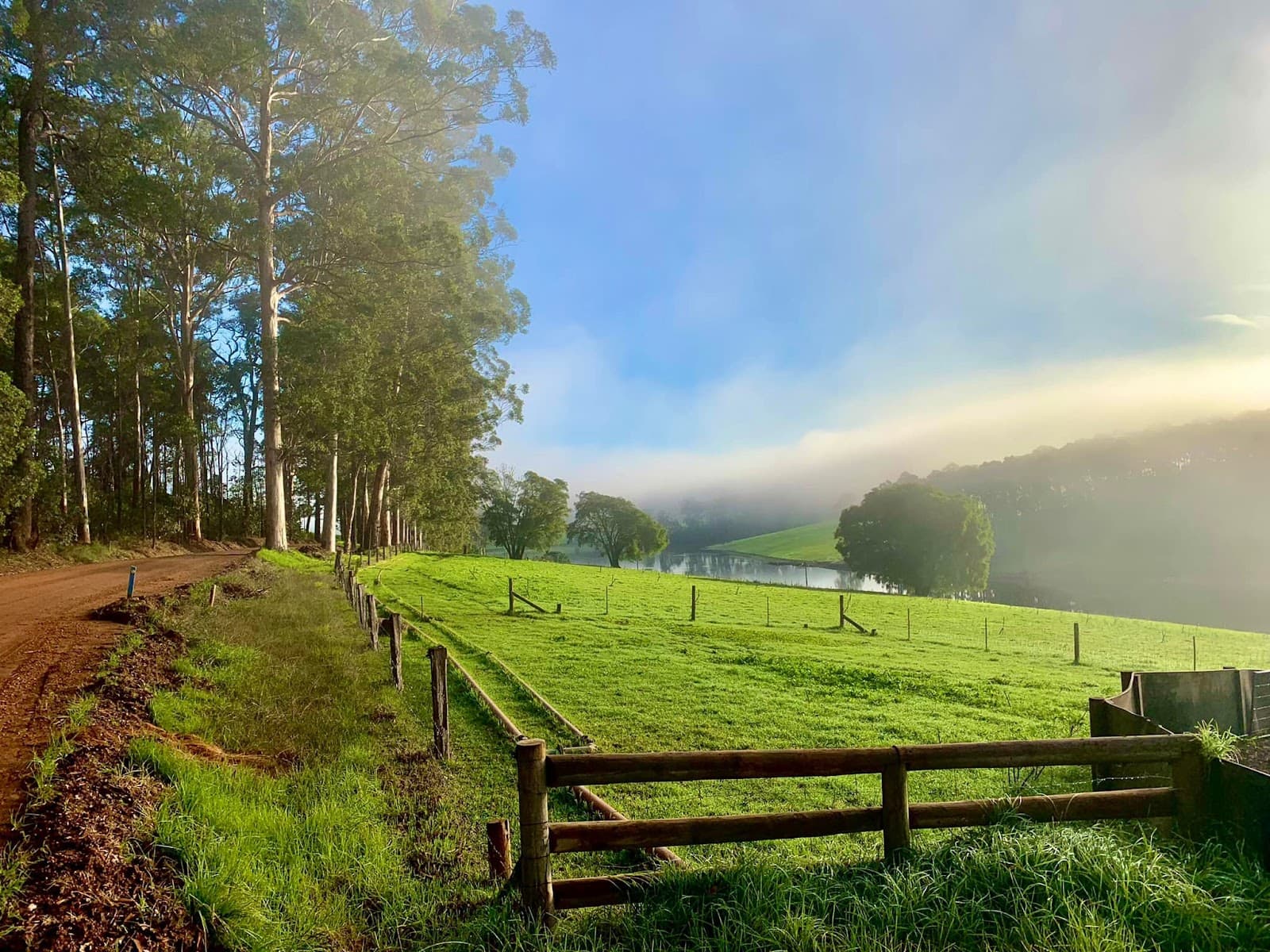 Munda Biddi Trail – Pemberton - Image 1