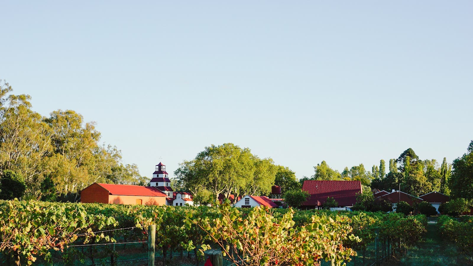 Tahbilk Winery & Wetlands - Image 1