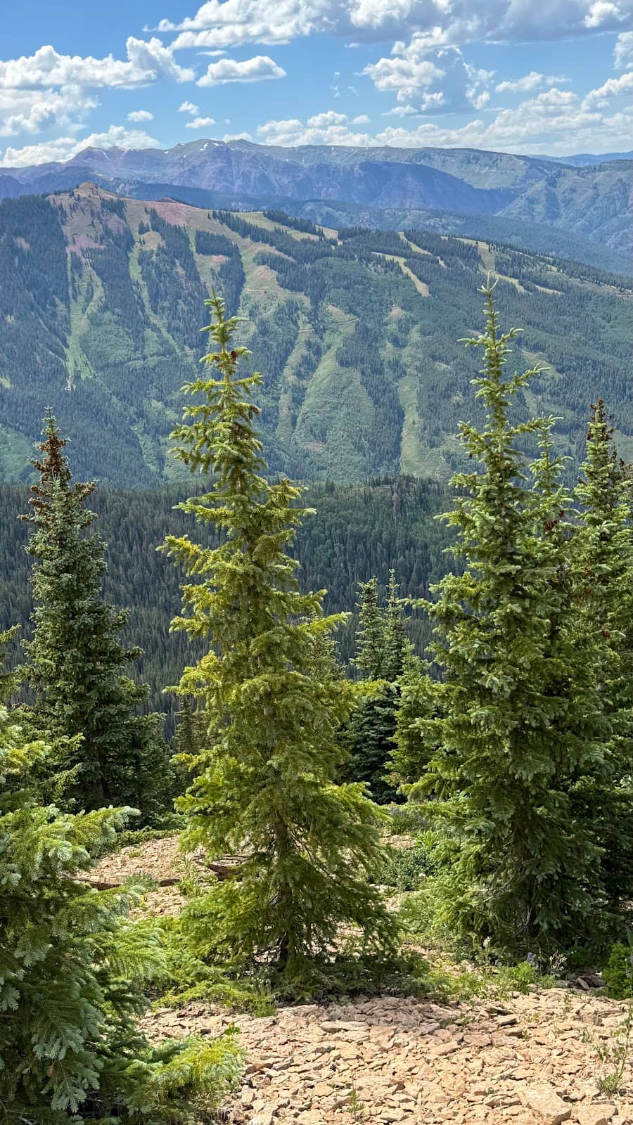 Wild Yoga Sessions