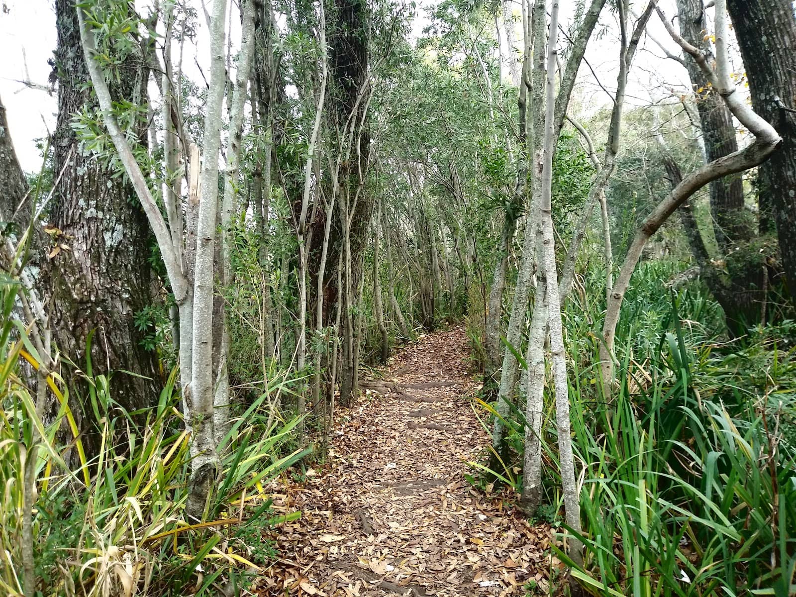 Biodiversity Trails