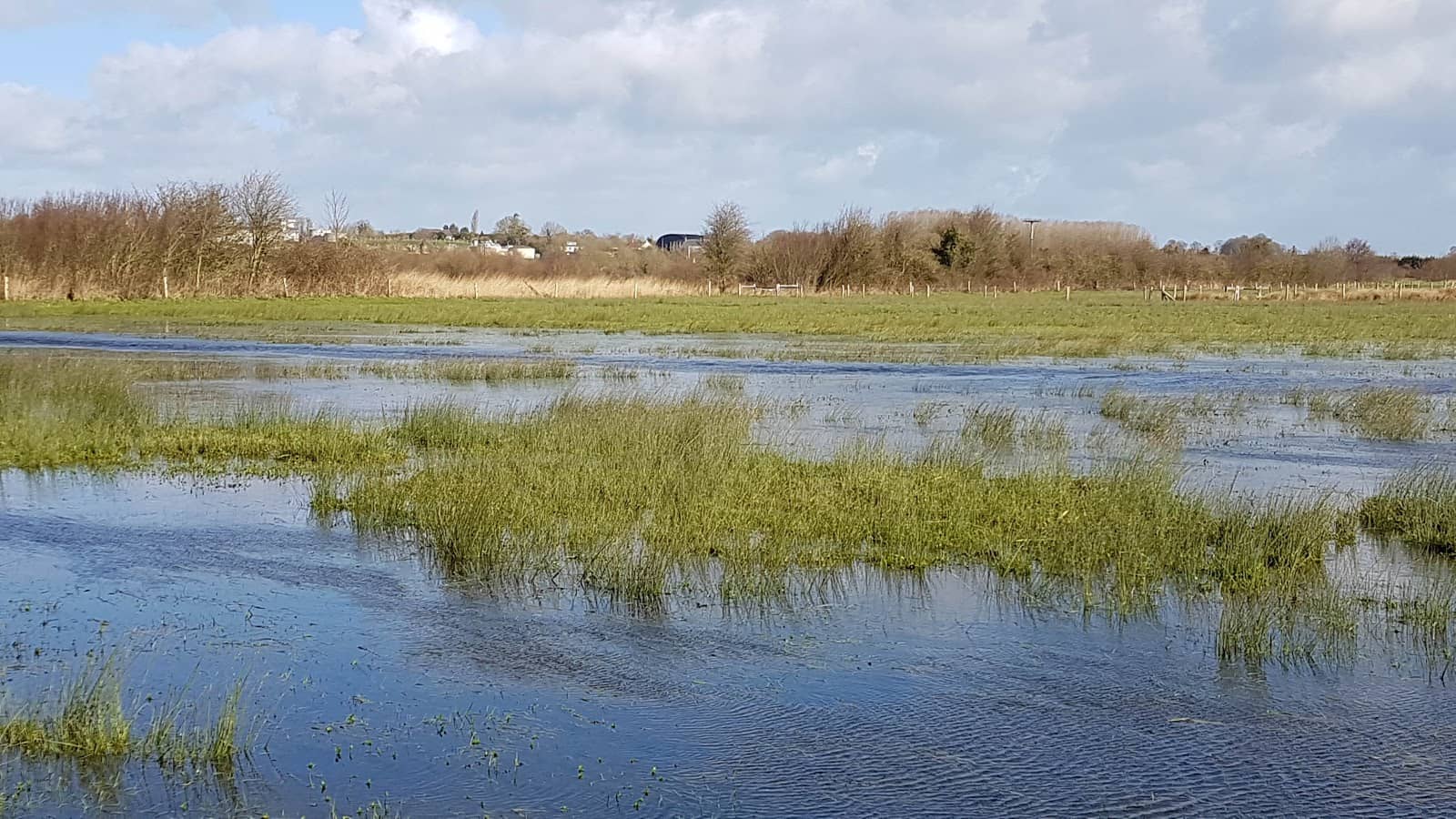 Bourse Militaria Market