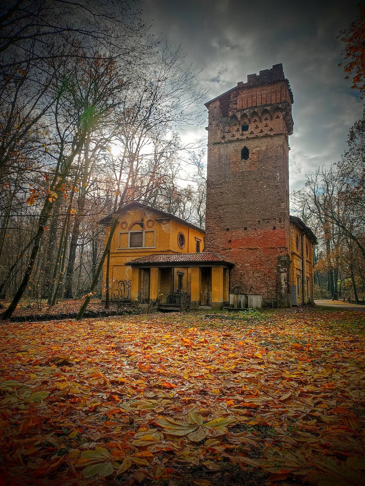 Vertical photo