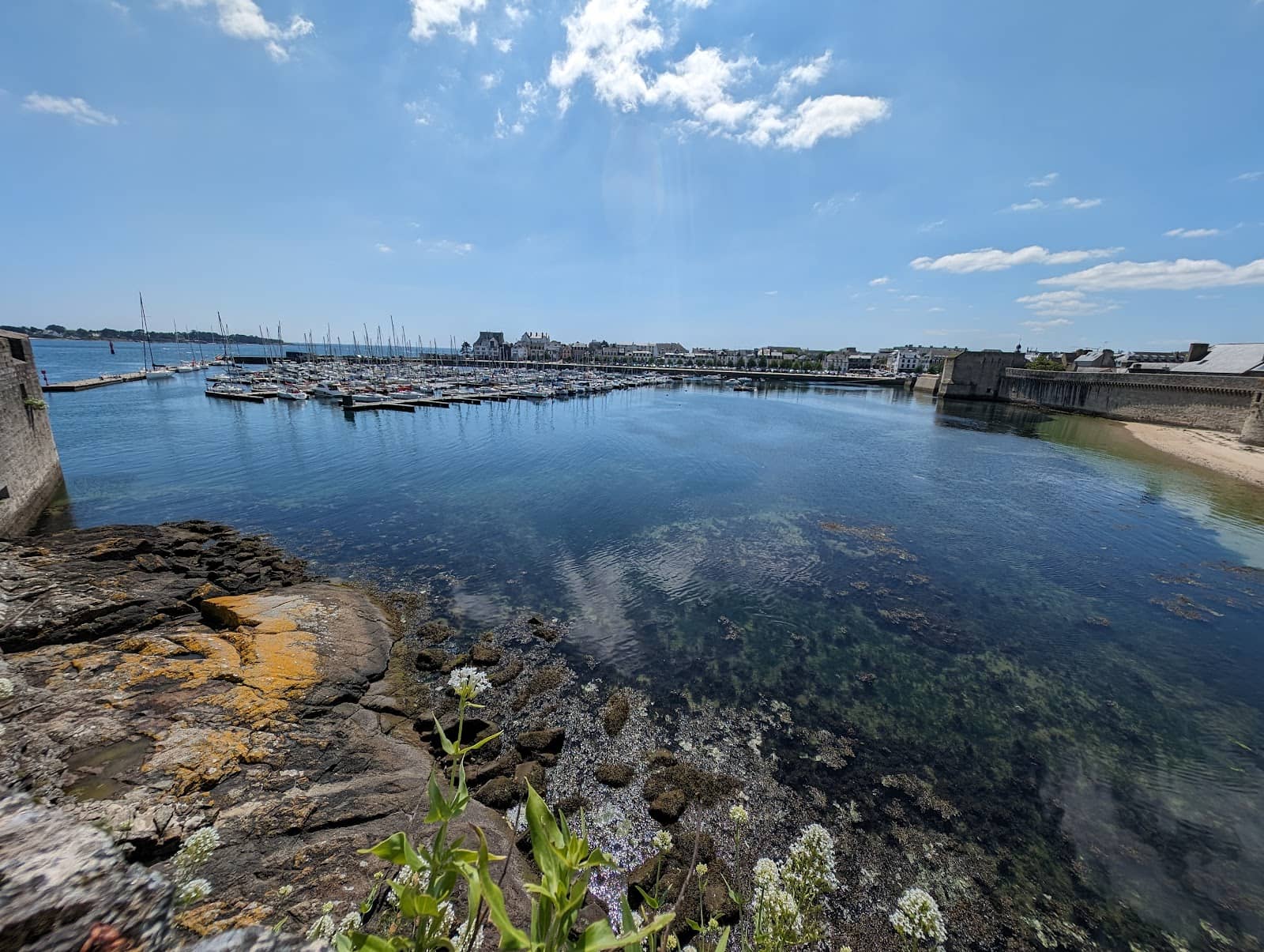 Talented Caricature Artist