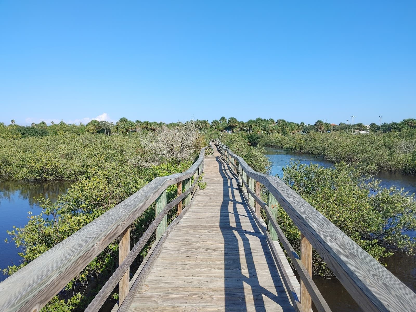Betty Steflik Memorial Preserve - Image 1