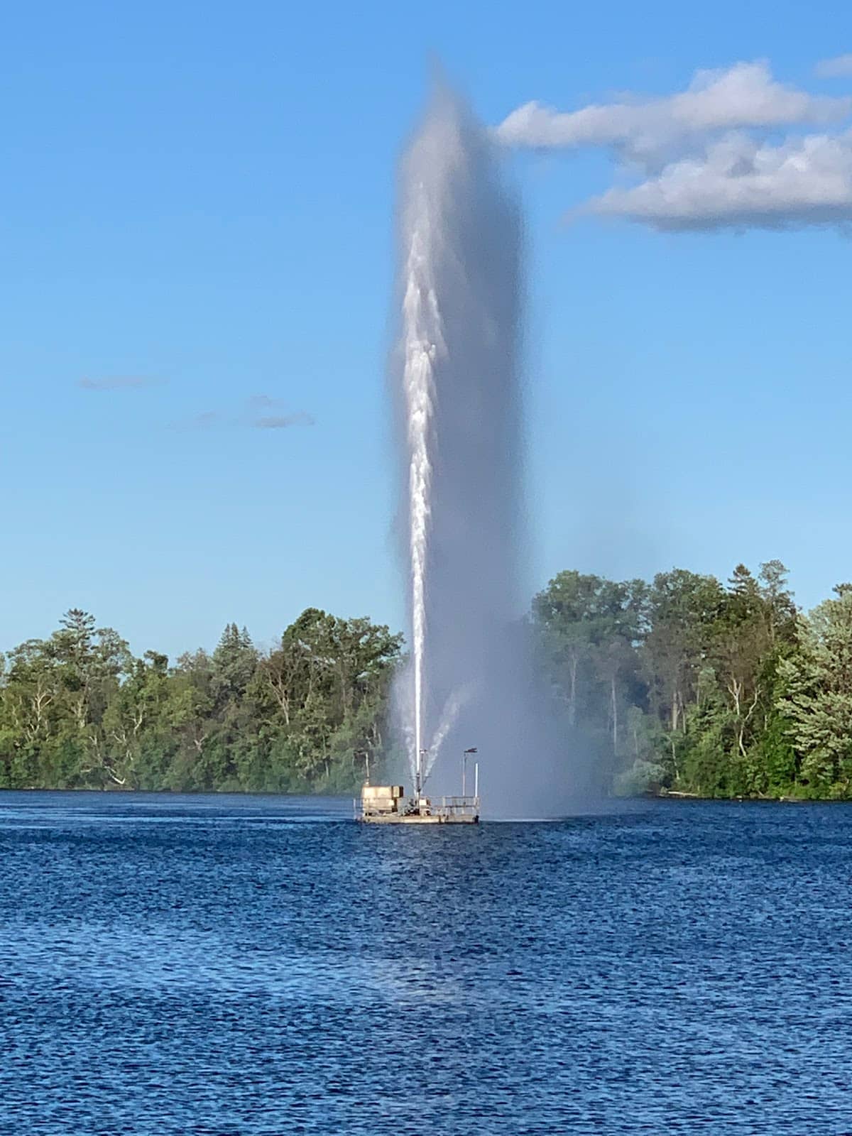 Local Events & Markets