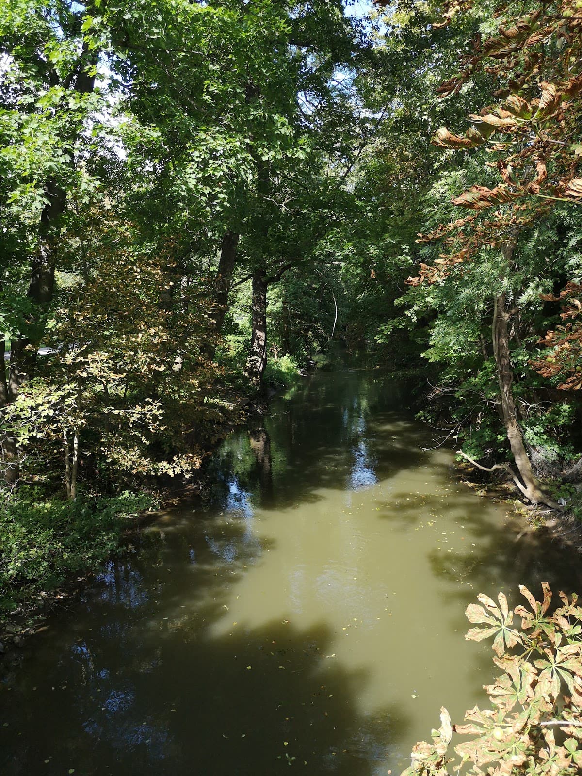 Mlýnský Potok Promenade - Image 1