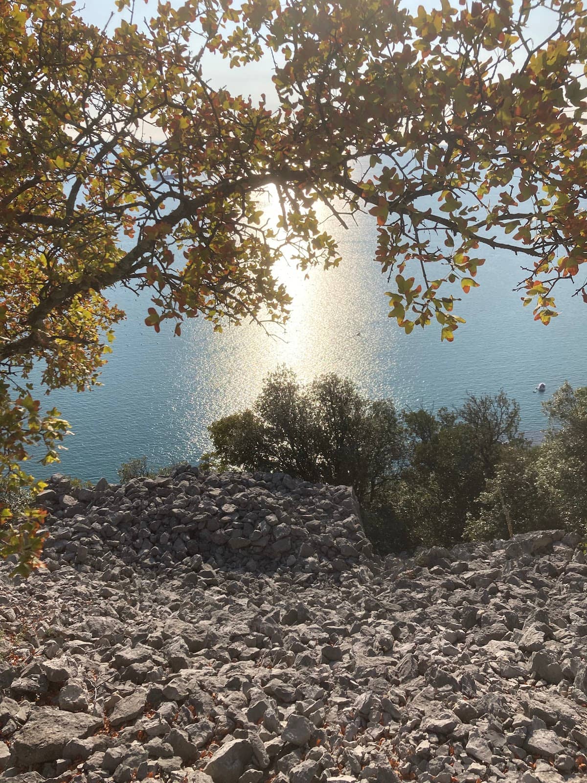 Vertical photo