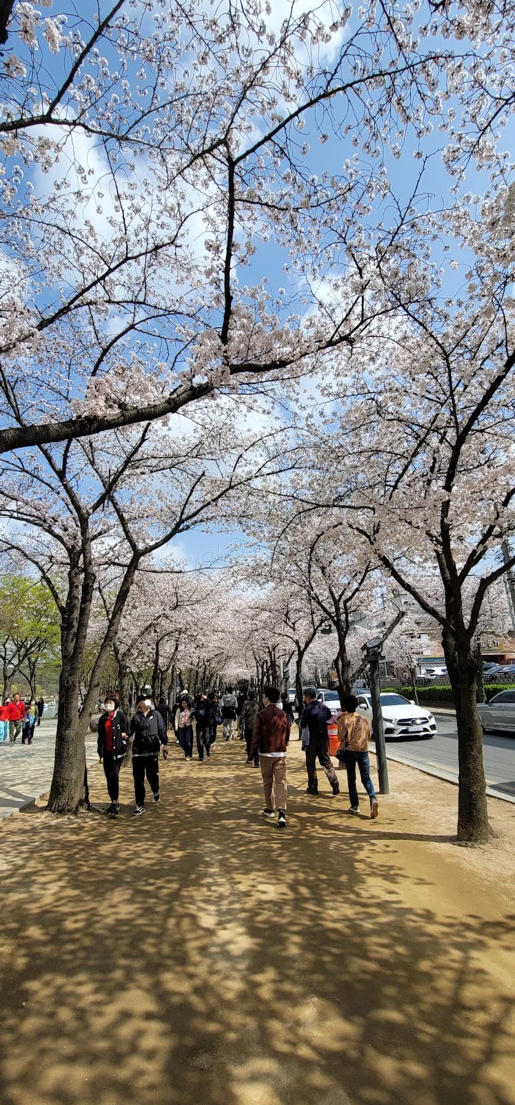 Suseong Land - Image 1