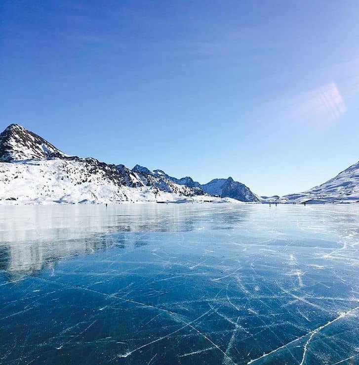 Winter Frozen Wonderland