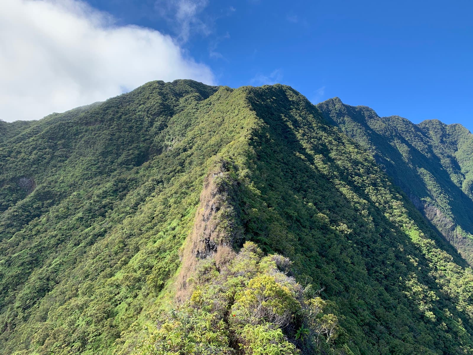 Mount Aorai Trail - Image 1