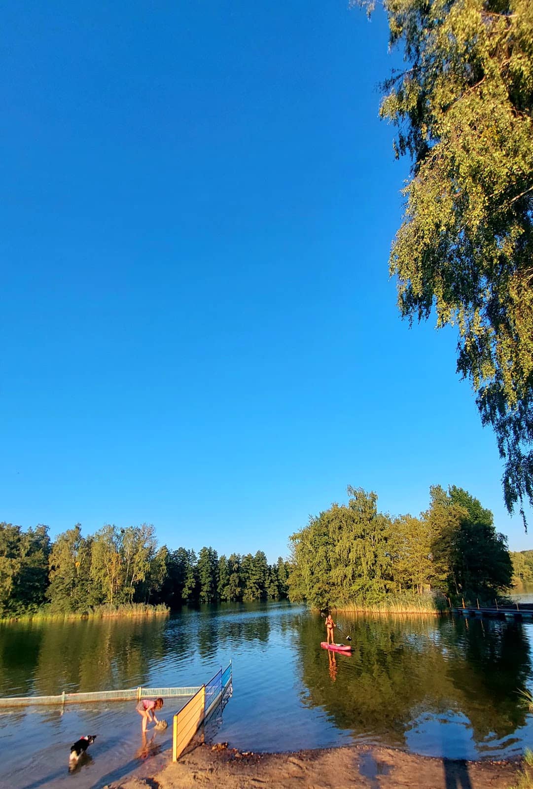 Spacious Green Areas