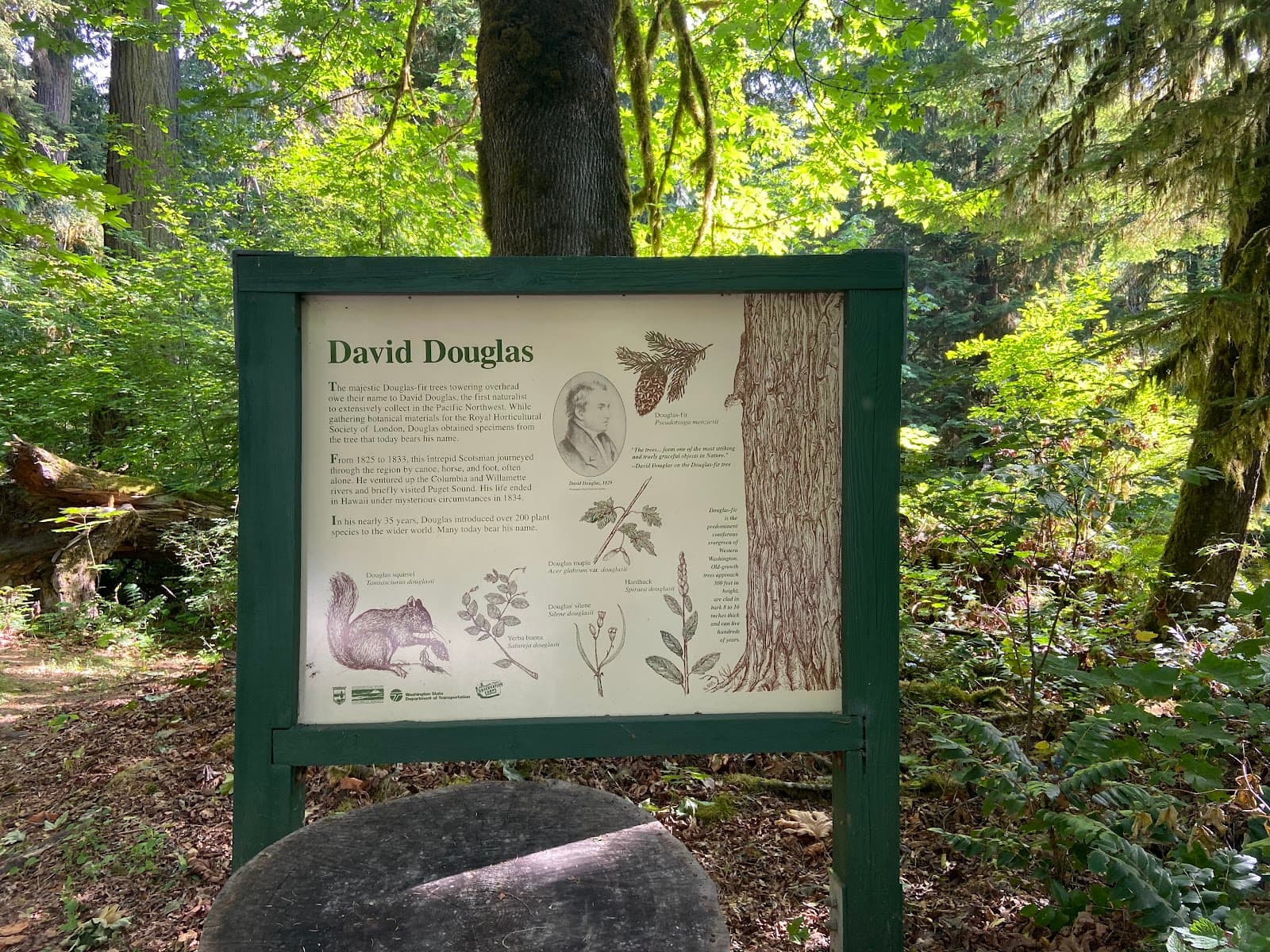 Rockport State Park - Image 1