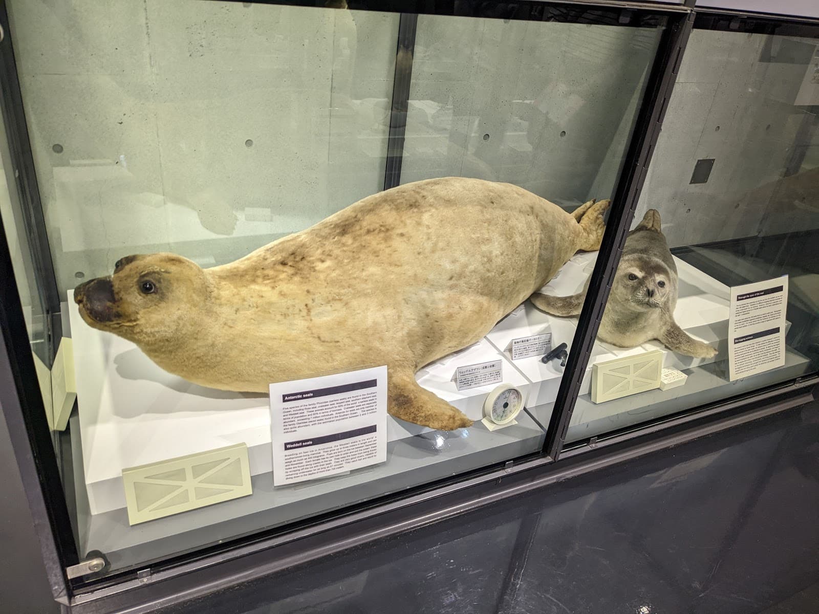 Polar Science Museum - Image 1