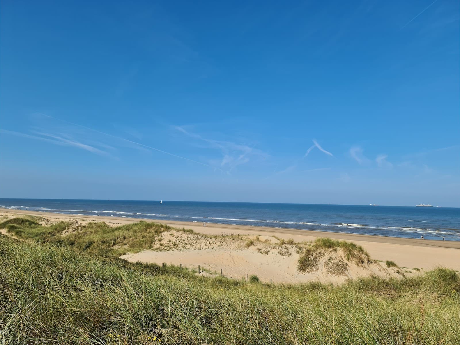 Hollandse Duinen NP – Katwijk - Image 1