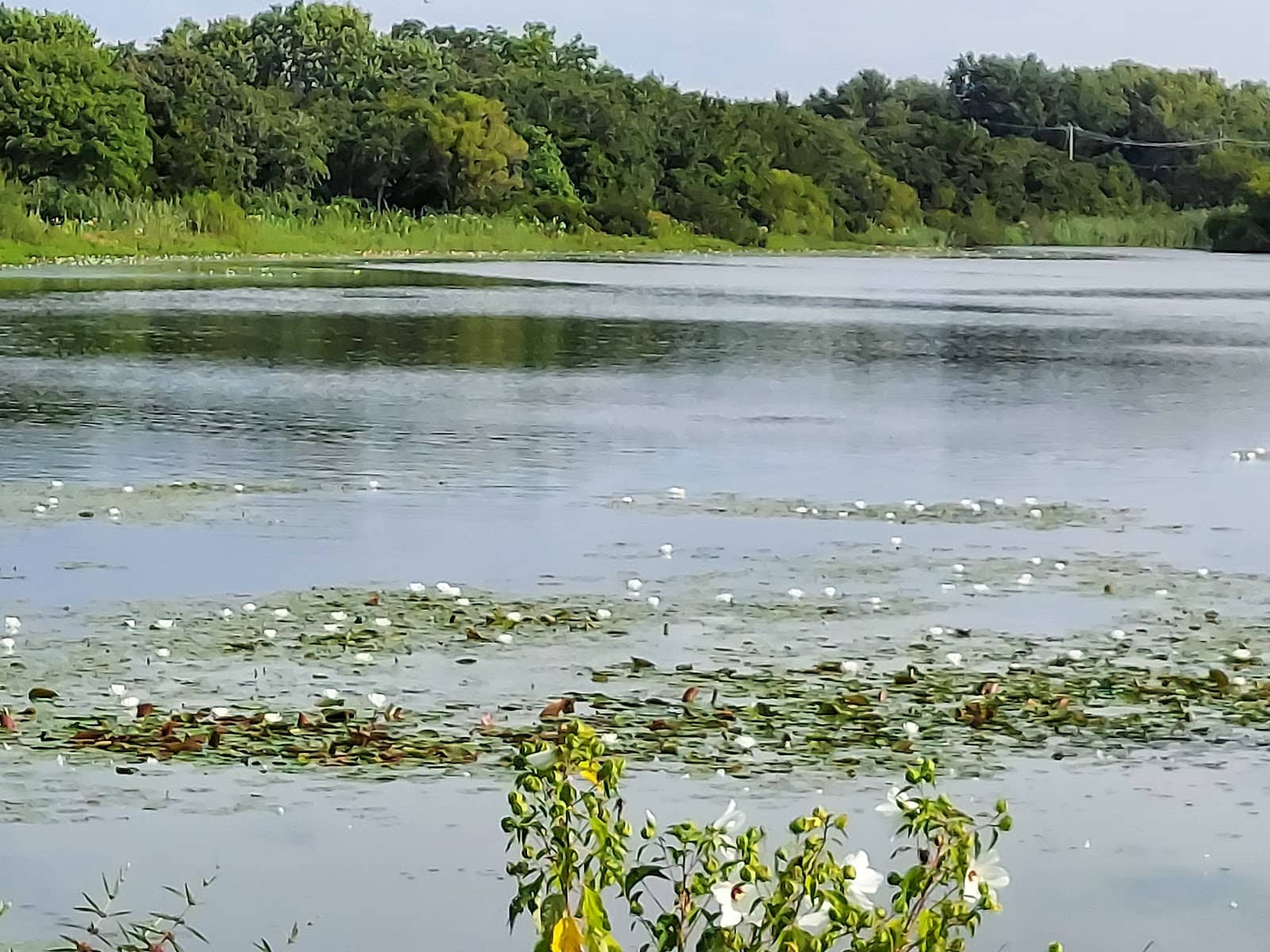 Scenic Mountain Views