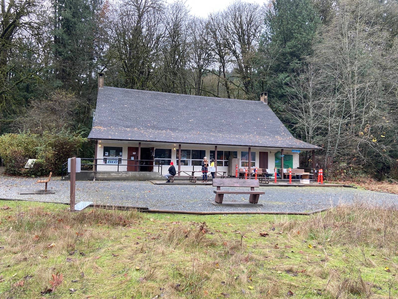 Peaceful Forest Trails