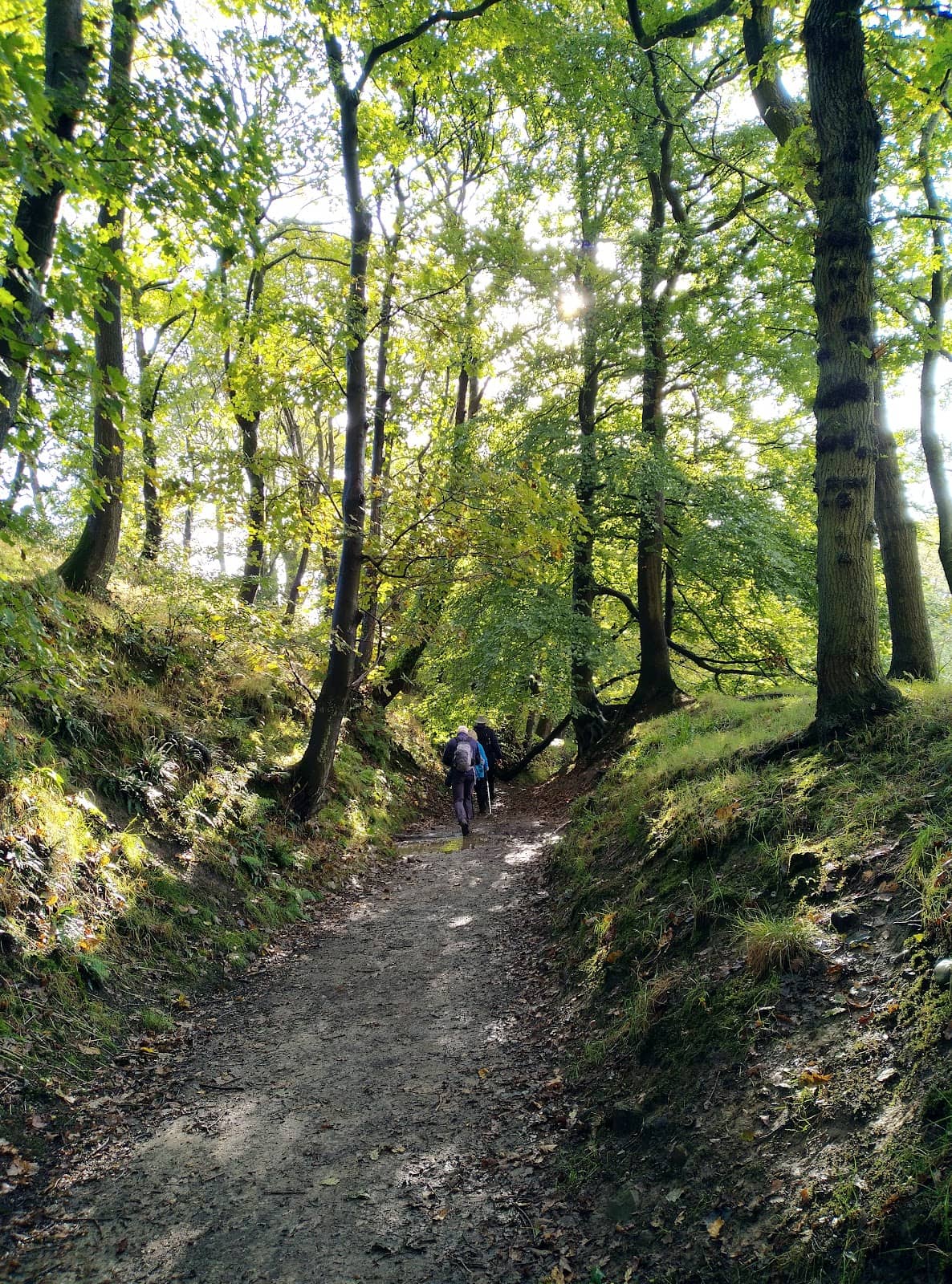 Vertical photo